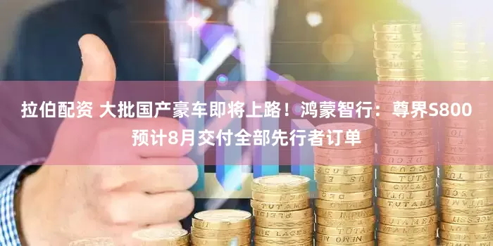拉伯配资 大批国产豪车即将上路！鸿蒙智行：尊界S800预计8月交付全部先行者订单