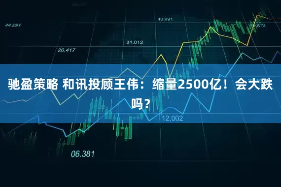 驰盈策略 和讯投顾王伟：缩量2500亿！会大跌吗？